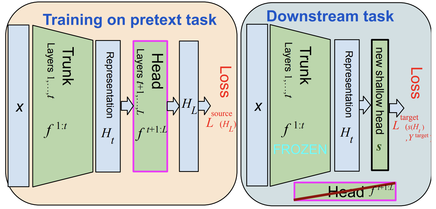 Guillotine Regularization: Improving Deep Networks Generalization by Removing their Head