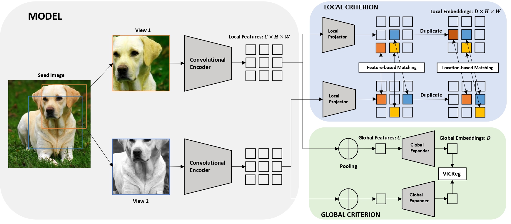 VICRegL: Self-Supervised Learning of Local Visual Features